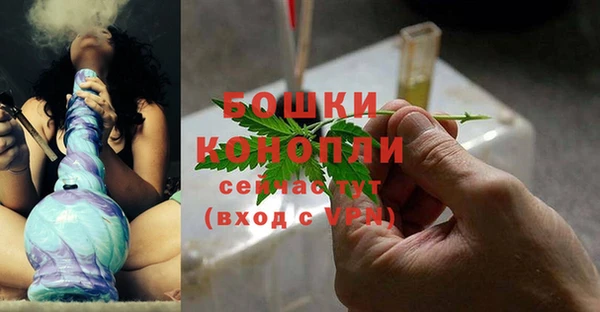 индика Пересвет