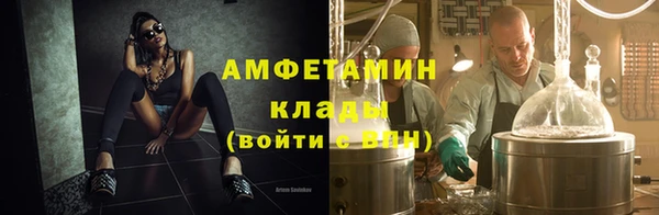 индика Пересвет