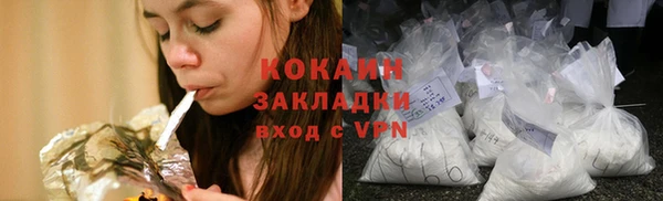 индика Пересвет