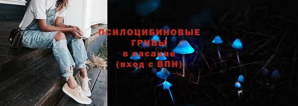 PSILOCYBIN Киреевск