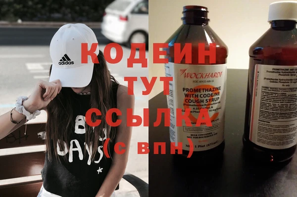 шишки Заводоуковск