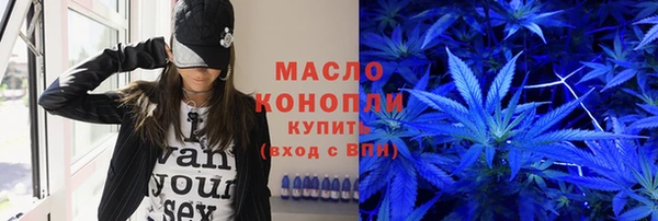 индика Пересвет