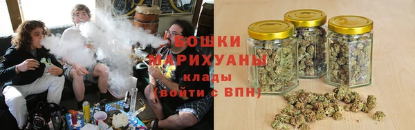 индика Пересвет