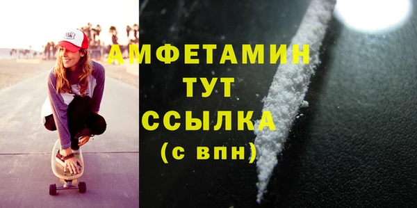 индика Пересвет