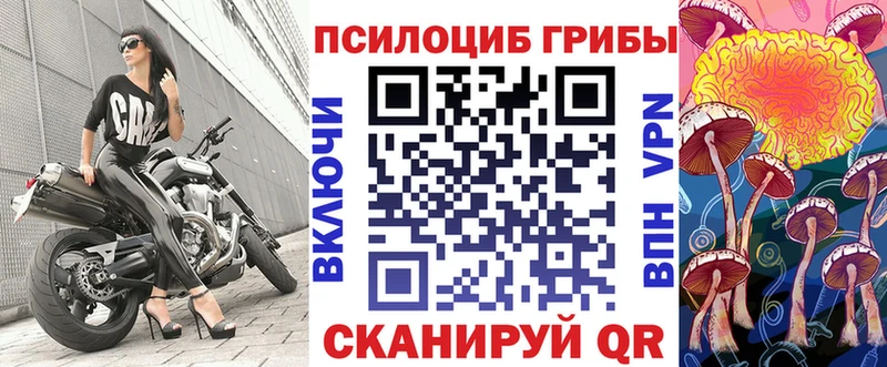 кракен   Лакинск  Галлюциногенные грибы ЛСД 